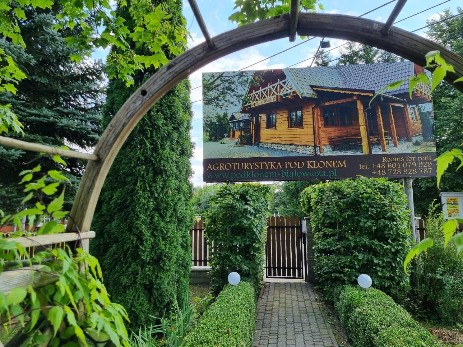Domek Pod Klonem Agroturystyka Białowieża Exteriér fotografie